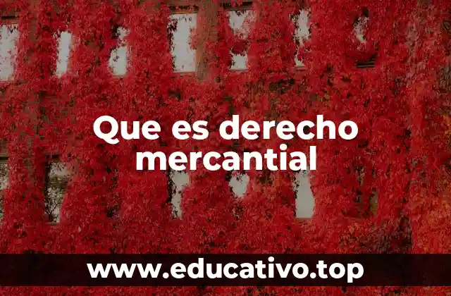 Que es derecho mercantial