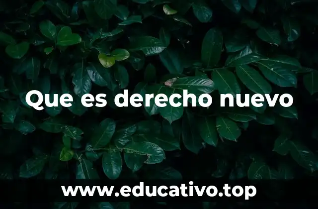 Que es derecho nuevo