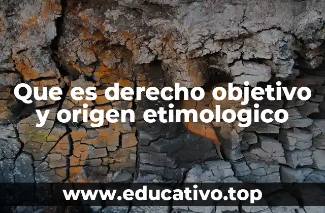 Que es derecho objetivo y origen etimologico