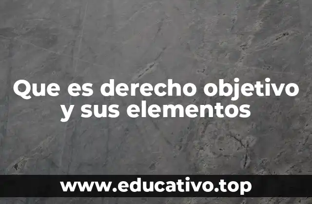 Que es derecho objetivo y sus elementos