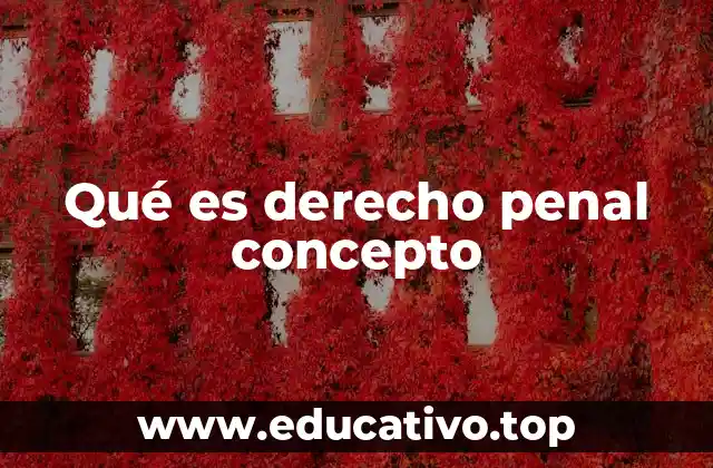 Qué es derecho penal concepto