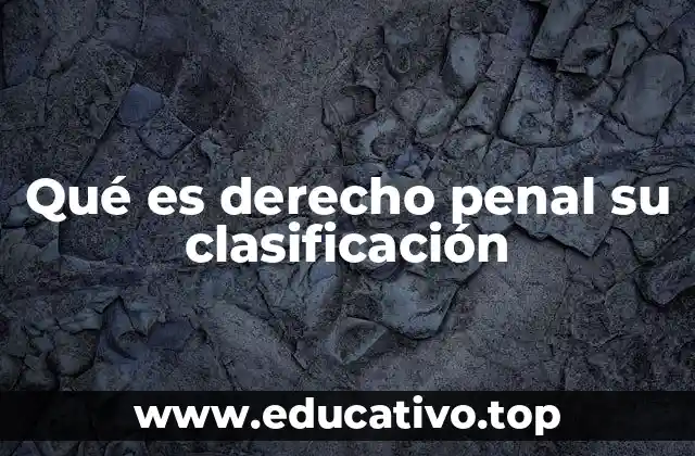 La importancia del derecho penal en la sociedad