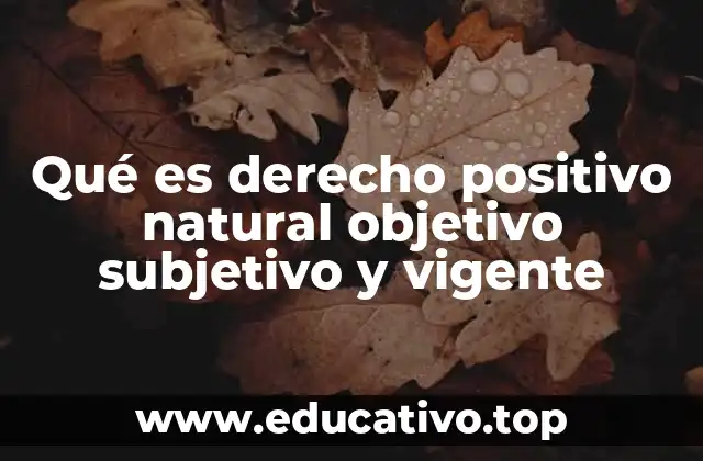 Qué es derecho positivo natural objetivo subjetivo y vigente