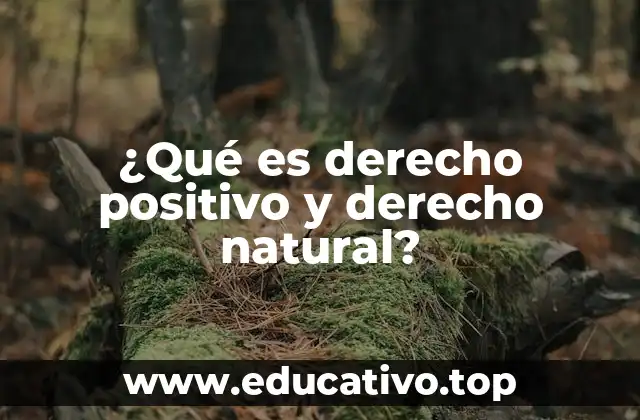 ¿Qué es derecho positivo y derecho natural?