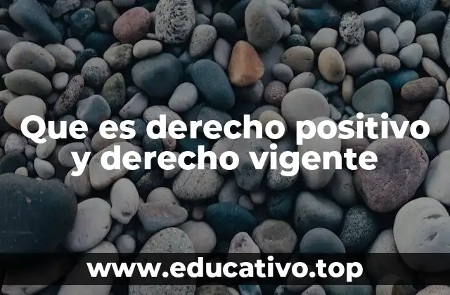 Que es derecho positivo y derecho vigente