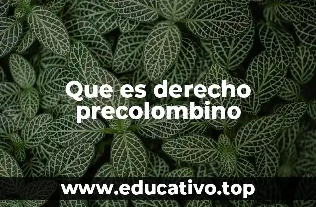 Que es derecho precolombino
