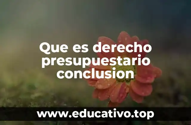 Que es derecho presupuestario conclusion