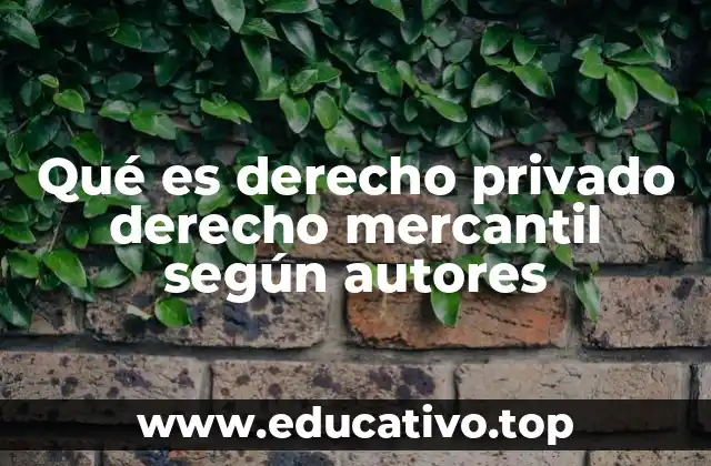 Qué es derecho privado derecho mercantil según autores