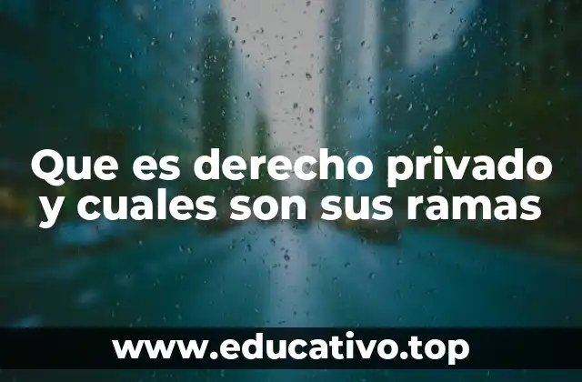 Que es derecho privado y cuales son sus ramas