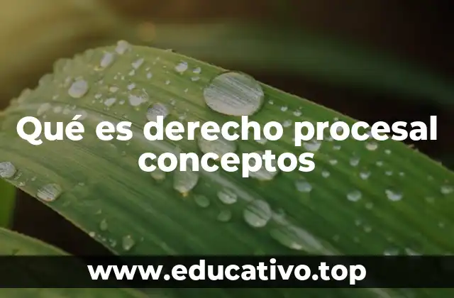 Qué es derecho procesal conceptos