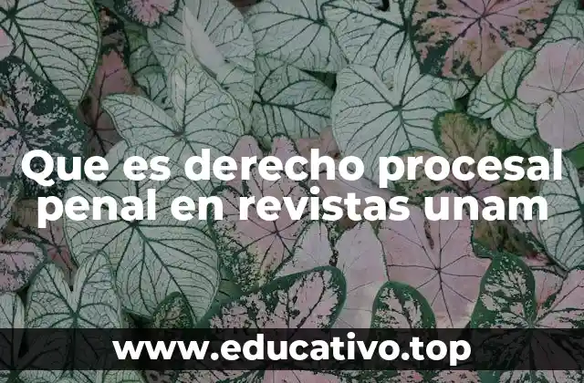 El papel del derecho procesal penal en el sistema legal mexicano