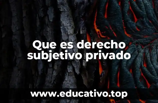 Que es derecho subjetivo privado
