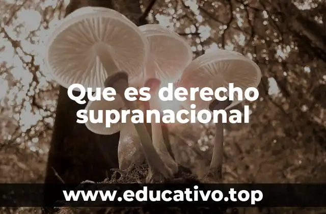 Que es derecho supranacional
