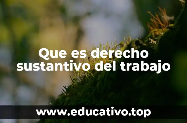 Que es derecho sustantivo del trabajo