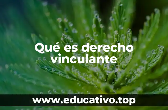 Qué es derecho vinculante