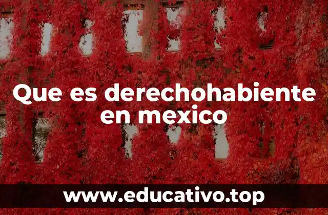 Que es derechohabiente en mexico