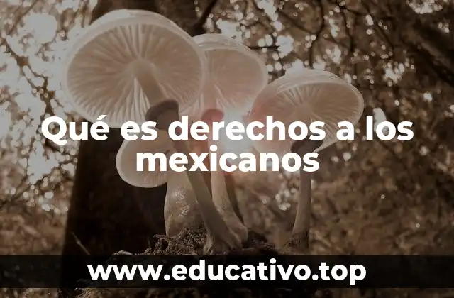 La importancia de los derechos en la identidad nacional