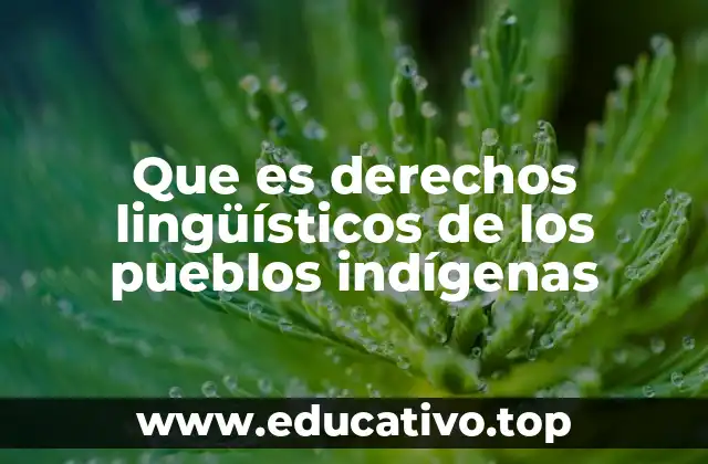 Que es derechos lingüísticos de los pueblos indígenas