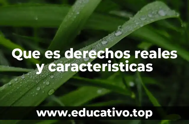 Que es derechos reales y caracteristicas