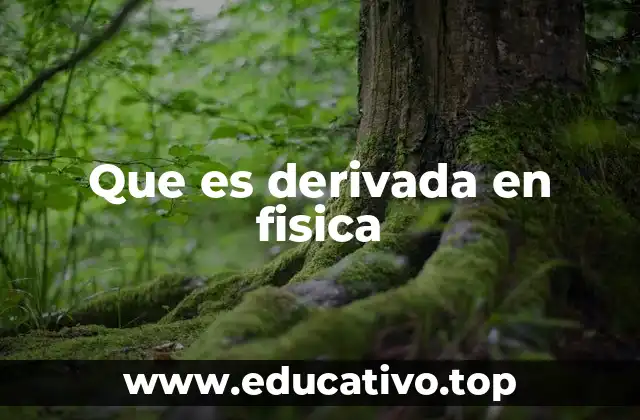 Que es derivada en fisica