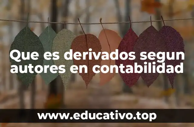 Que es derivados segun autores en contabilidad