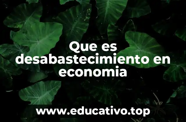Que es desabastecimiento en economia