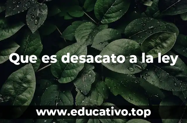 Que es desacato a la ley