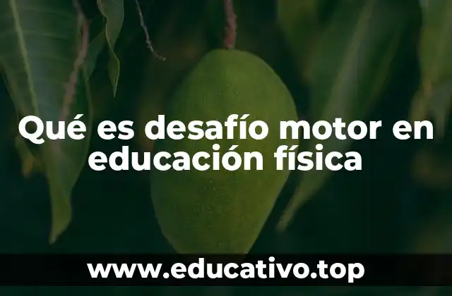 Qué es desafío motor en educación física
