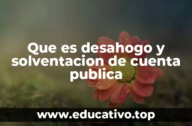 Que es desahogo y solventacion de cuenta publica