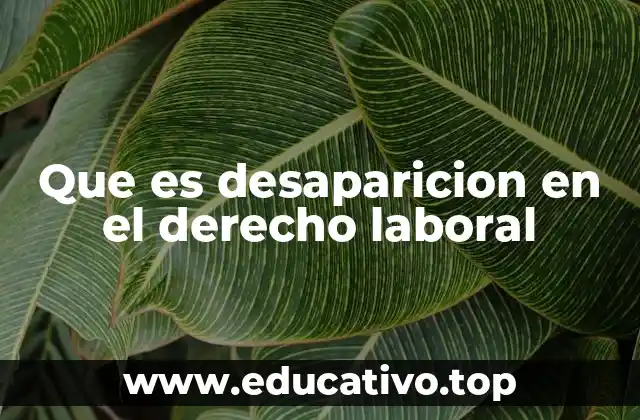 Que es desaparicion en el derecho laboral