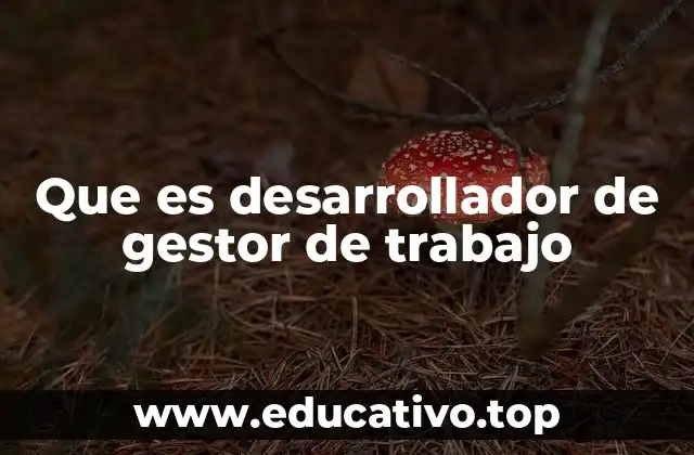 Que es desarrollador de gestor de trabajo