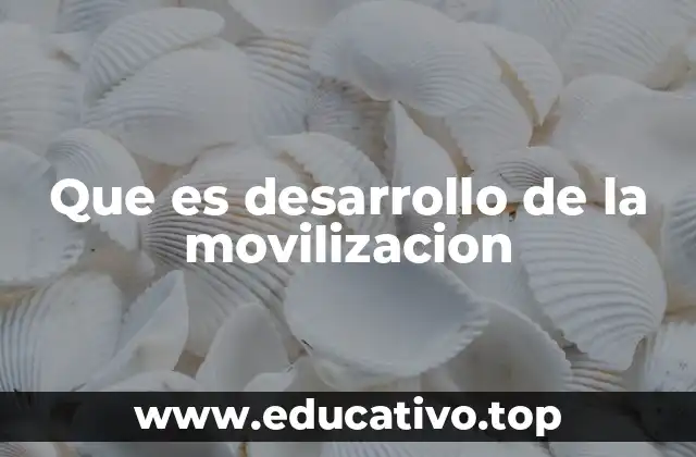 Que es desarrollo de la movilizacion