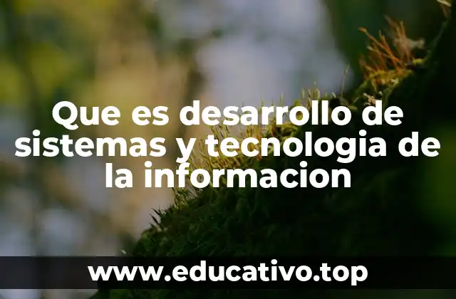 Que es desarrollo de sistemas y tecnologia de la informacion