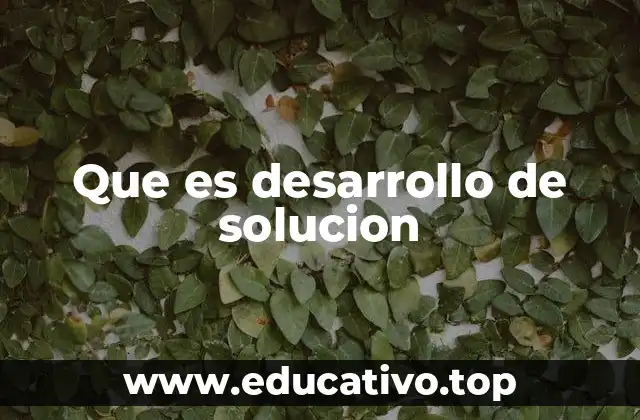 Que es desarrollo de solucion