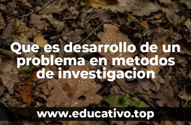 Que es desarrollo de un problema en metodos de investigacion
