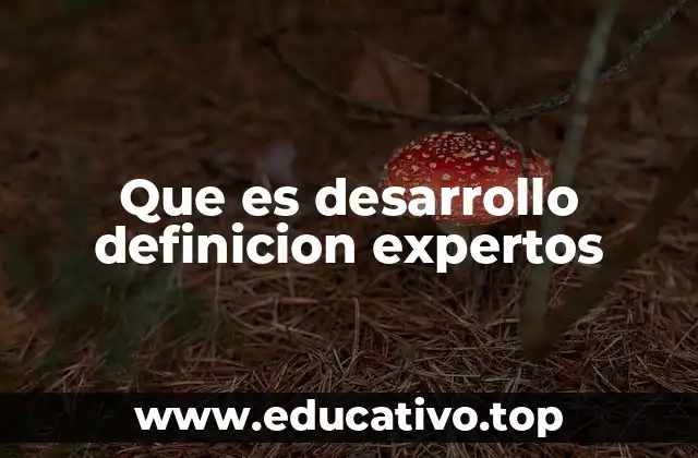 Que es desarrollo definicion expertos