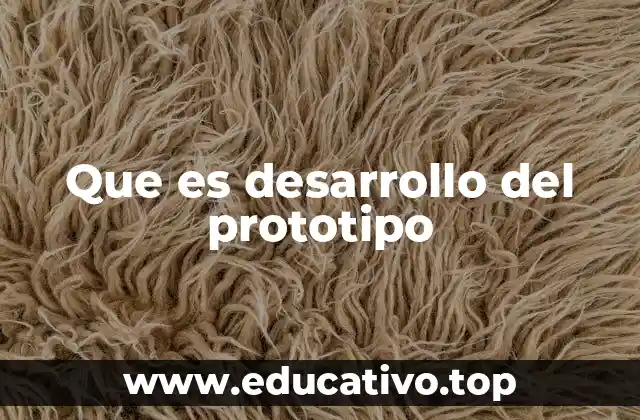 Que es desarrollo del prototipo