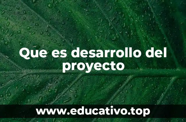 Que es desarrollo del proyecto