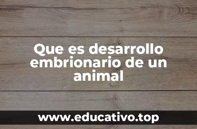 El viaje de una sola célula a un ser completo