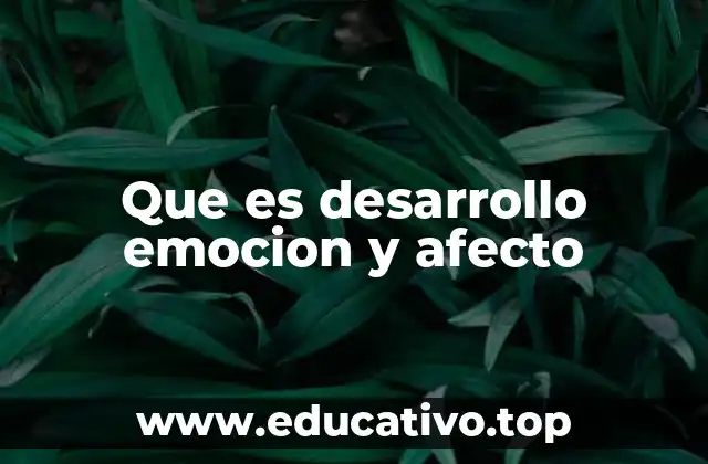 Que es desarrollo emocion y afecto