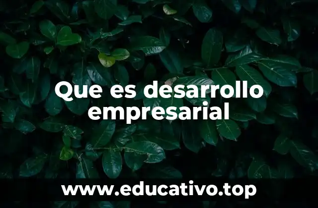 Que es desarrollo empresarial