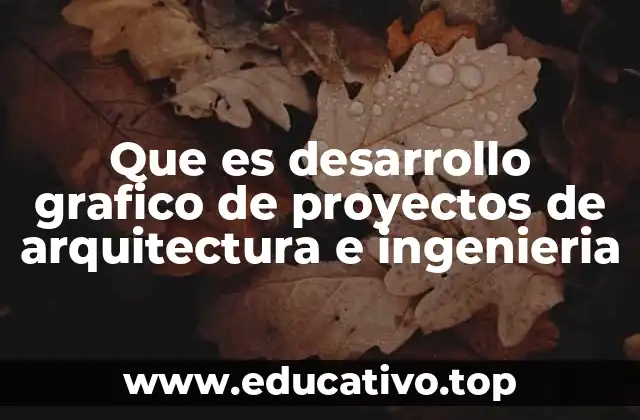 Que es desarrollo grafico de proyectos de arquitectura e ingenieria