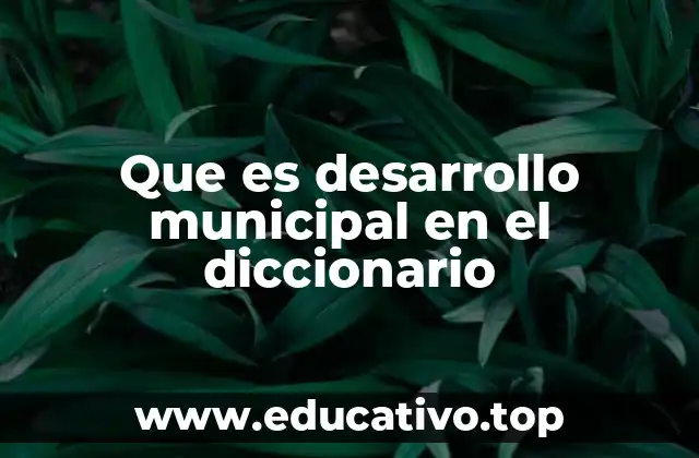Que es desarrollo municipal en el diccionario