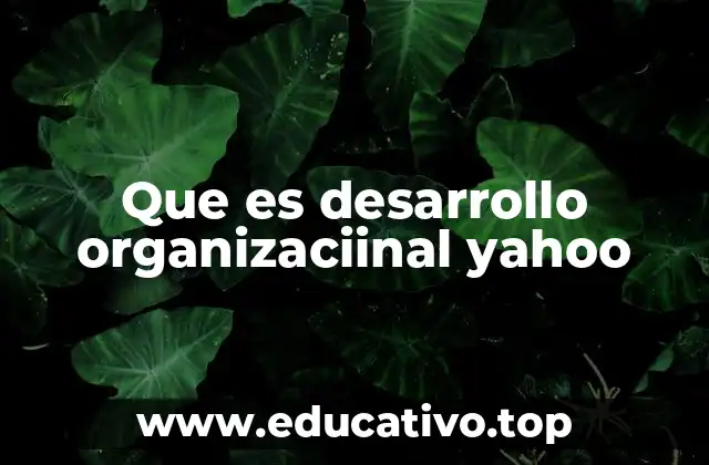Que es desarrollo organizaciinal yahoo