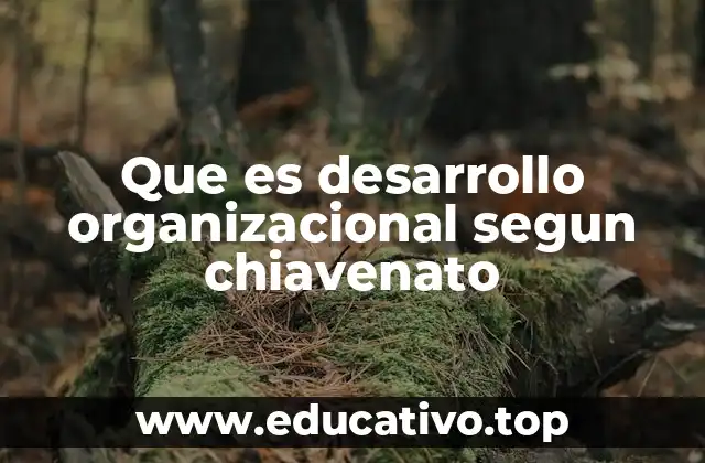 Que es desarrollo organizacional segun chiavenato
