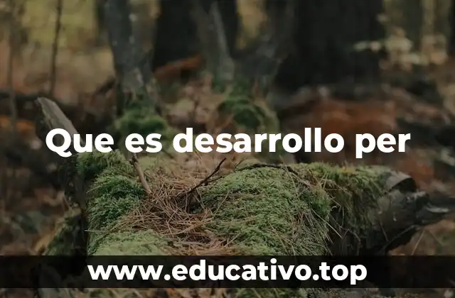 Que es desarrollo per