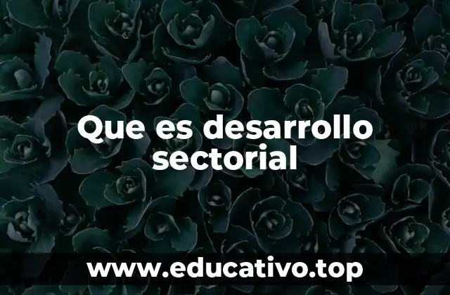 Que es desarrollo sectorial