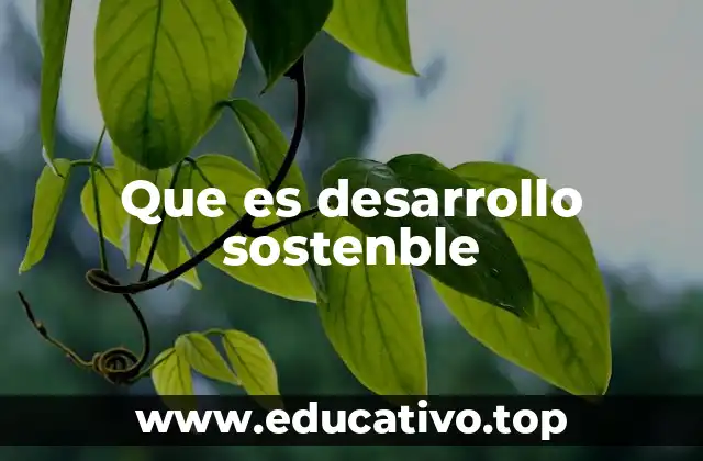 Cómo el desarrollo sostenible afecta a las economías globales
