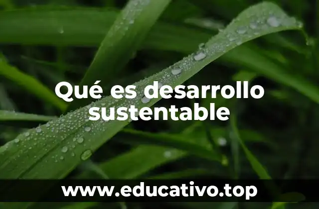Qué es desarrollo sustentable