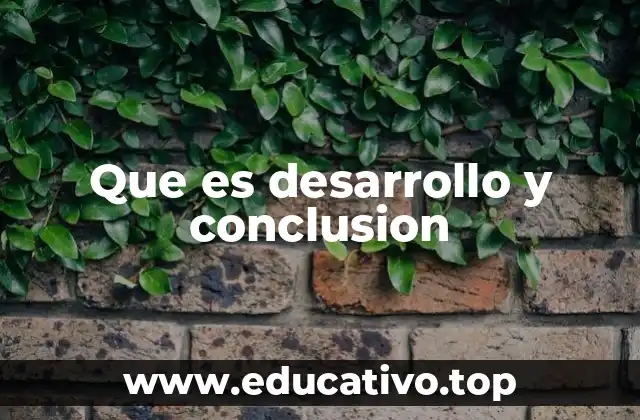 Que es desarrollo y conclusion